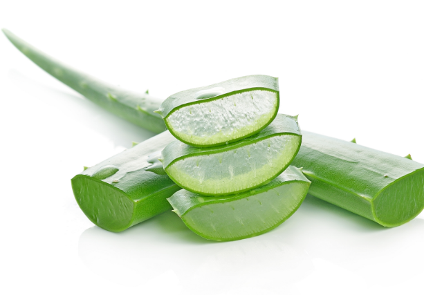Aloe Vera attēls.