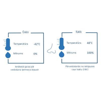 Temperature and moisture variation scheme.